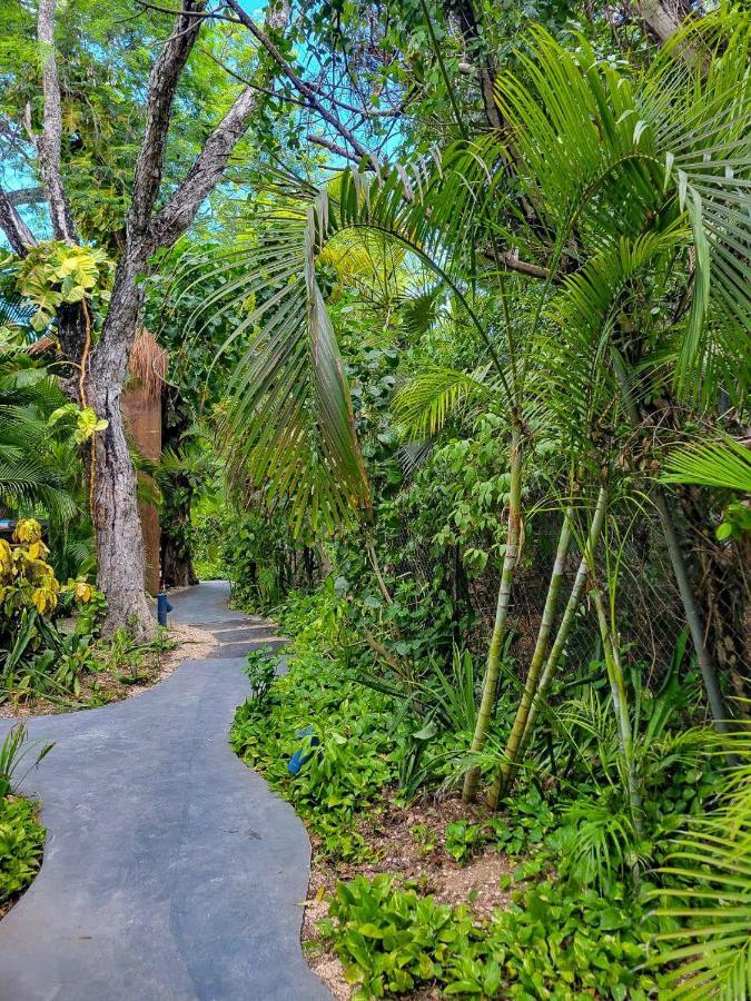 Maui Hostels Tulum Exterior foto